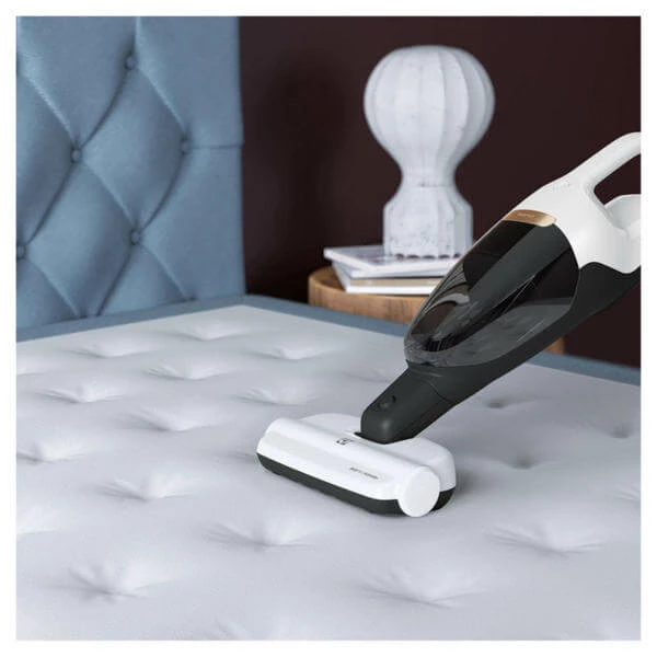 Electrolux ZE139 - Brosses D'aspirateur ⋅ Buses – Image 2