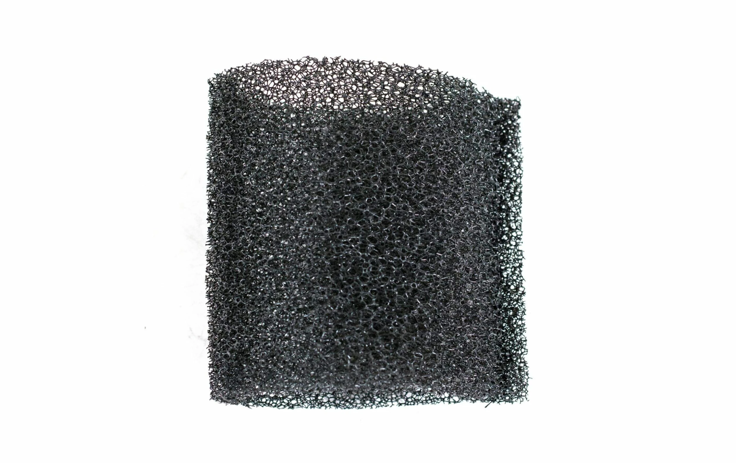 Scheppach Filtre Mousse Pour ASP12/15/20/30/50-ES, 1 Pièce - Filtre Pour Aspirateur