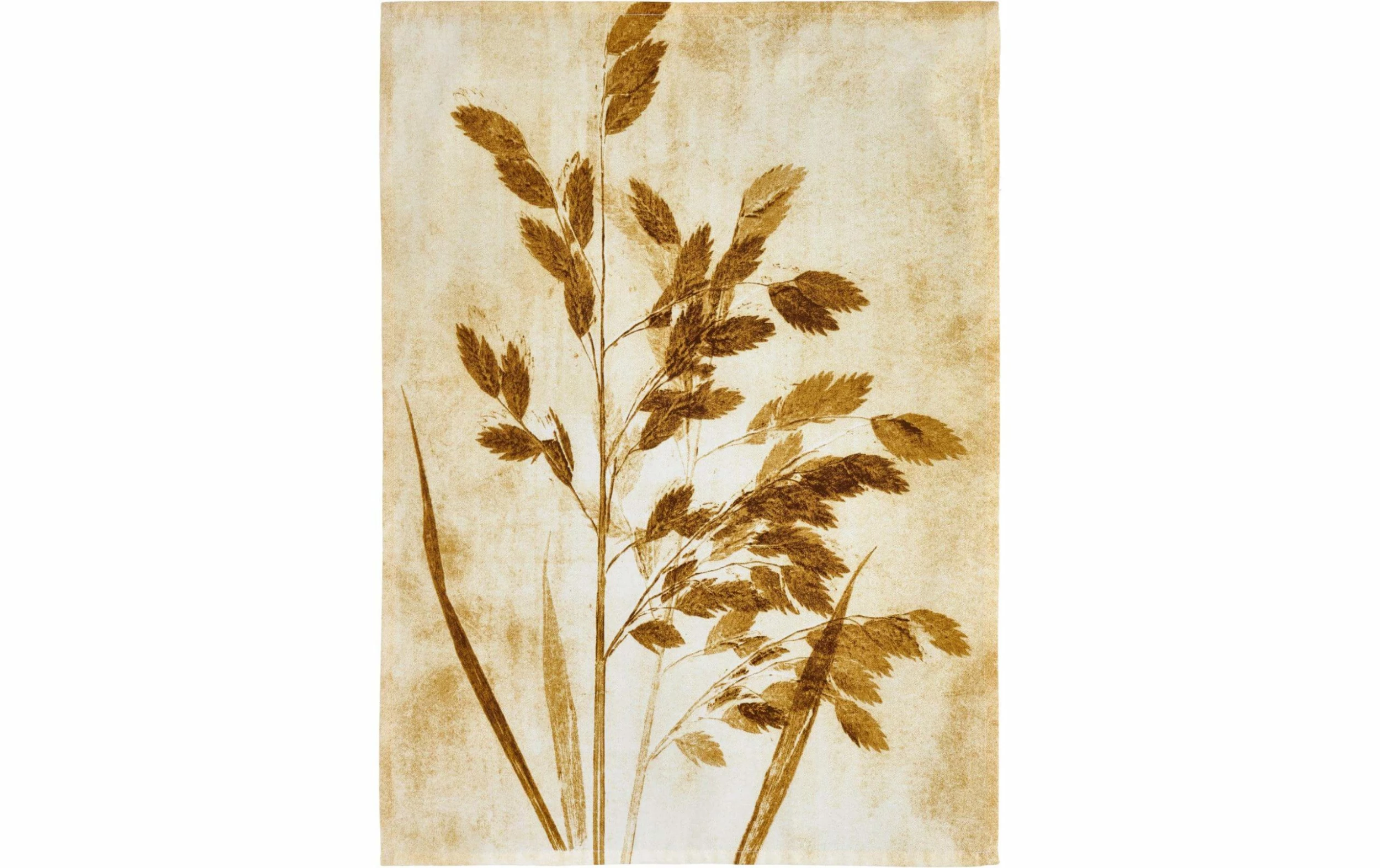 Södahl Ensemble De Torchons Pour La Vaisselle Oat Grass Beige - Torchon Pour La Vaisselle